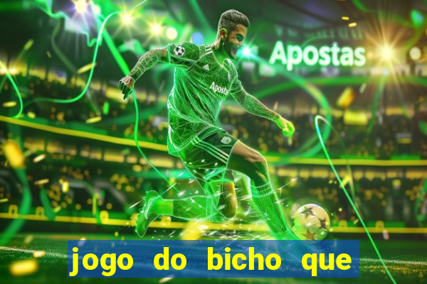 jogo do bicho que paga no pix